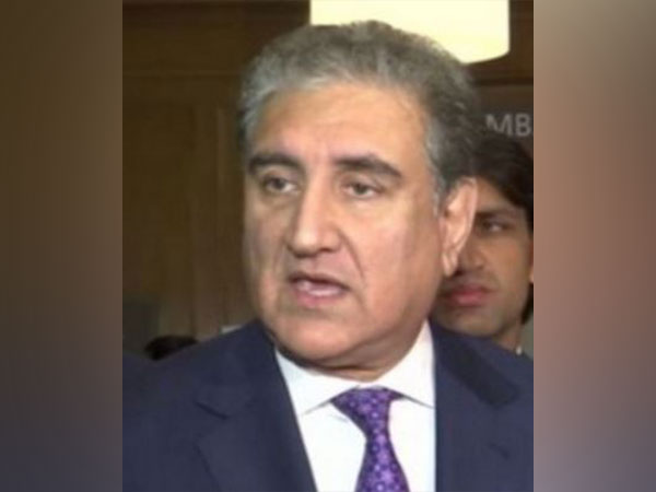 Pakistan Tehreek-e-Insaf Vice-Chairman Shah Mahmood Qureshi (file photo)