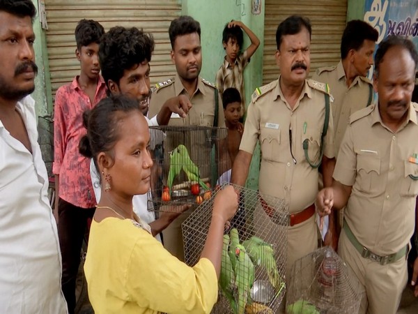 People handed over their pet rose-ringed parakeet to forest officials (Photo/ANI)